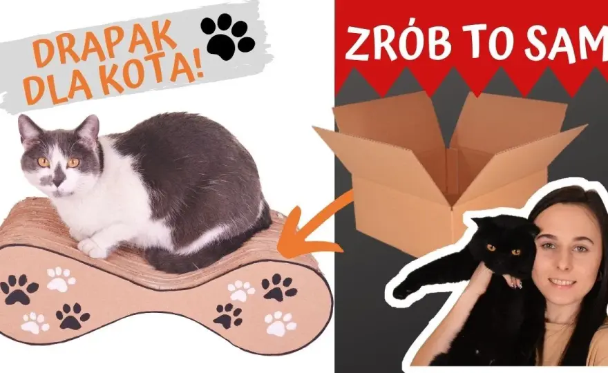 Jak zrobić legowisko dla kota z kartonu, które zachwyci Twojego pupila