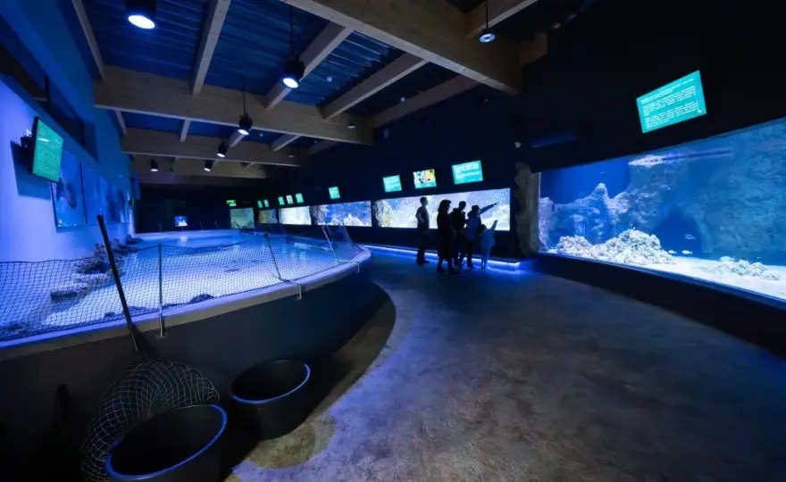 Oceanarium Opole - odkryj niesamowity świat morskich stworzeń