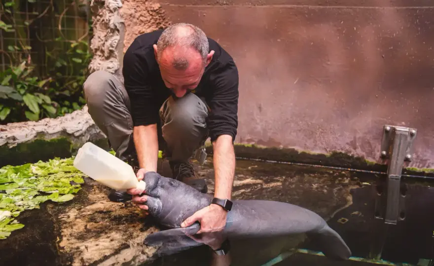 Ile zarabia się w zoo w Polsce? Sprawdź pensje opiekunów i weterynarzy
