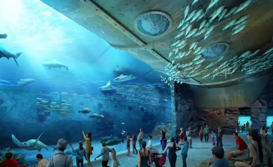 Godziny otwarcia oceanarium w Ustce - nie przegap wizyty!