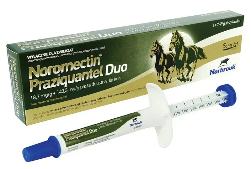 Odrobaczanie konia przed czy po jedzeniu – co wybrać dla zdrowia?