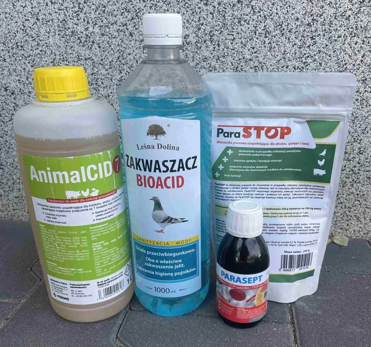 Kiedy odrobaczać gołębie, aby uniknąć problemów zdrowotnych?