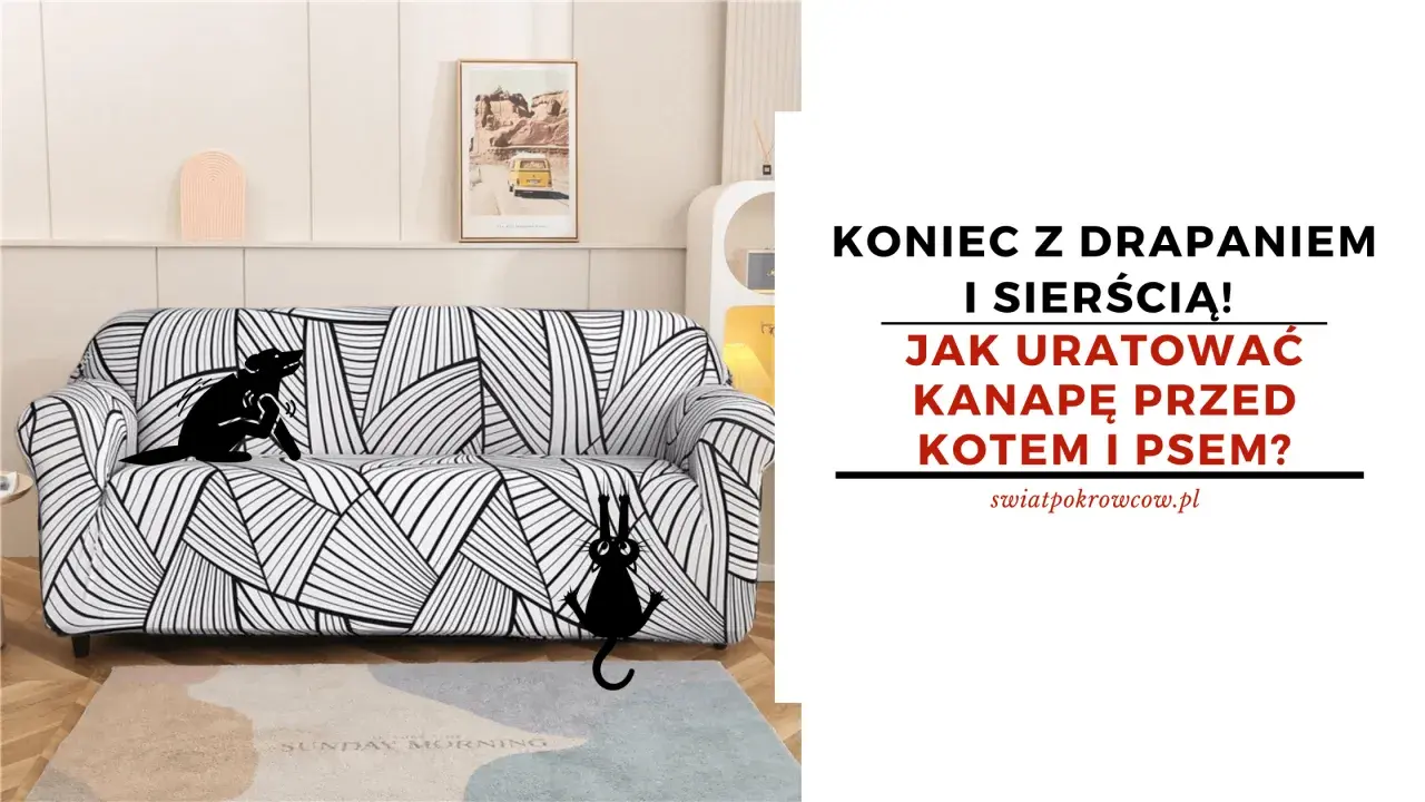 Czarny piesek i kotek drapią kanapę. Dowiedz się, dlaczego pies drapie kanapę i jak uratować meble przed zwierzętami.