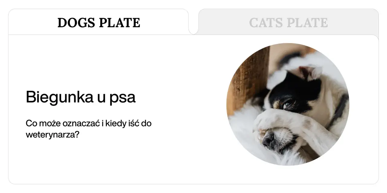 Czy po tabletce na odrobaczenie pies może mieć biegunkę? Piesek z czarnymi łatami na białym futerku leży, zasłaniając oczy łapką.