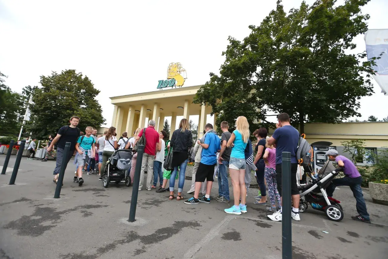 Kolejka do zoo. Zastanawiasz się, ile zarabia zoolog? Ludzie czekają na wejście, by zobaczyć zwierzęta.