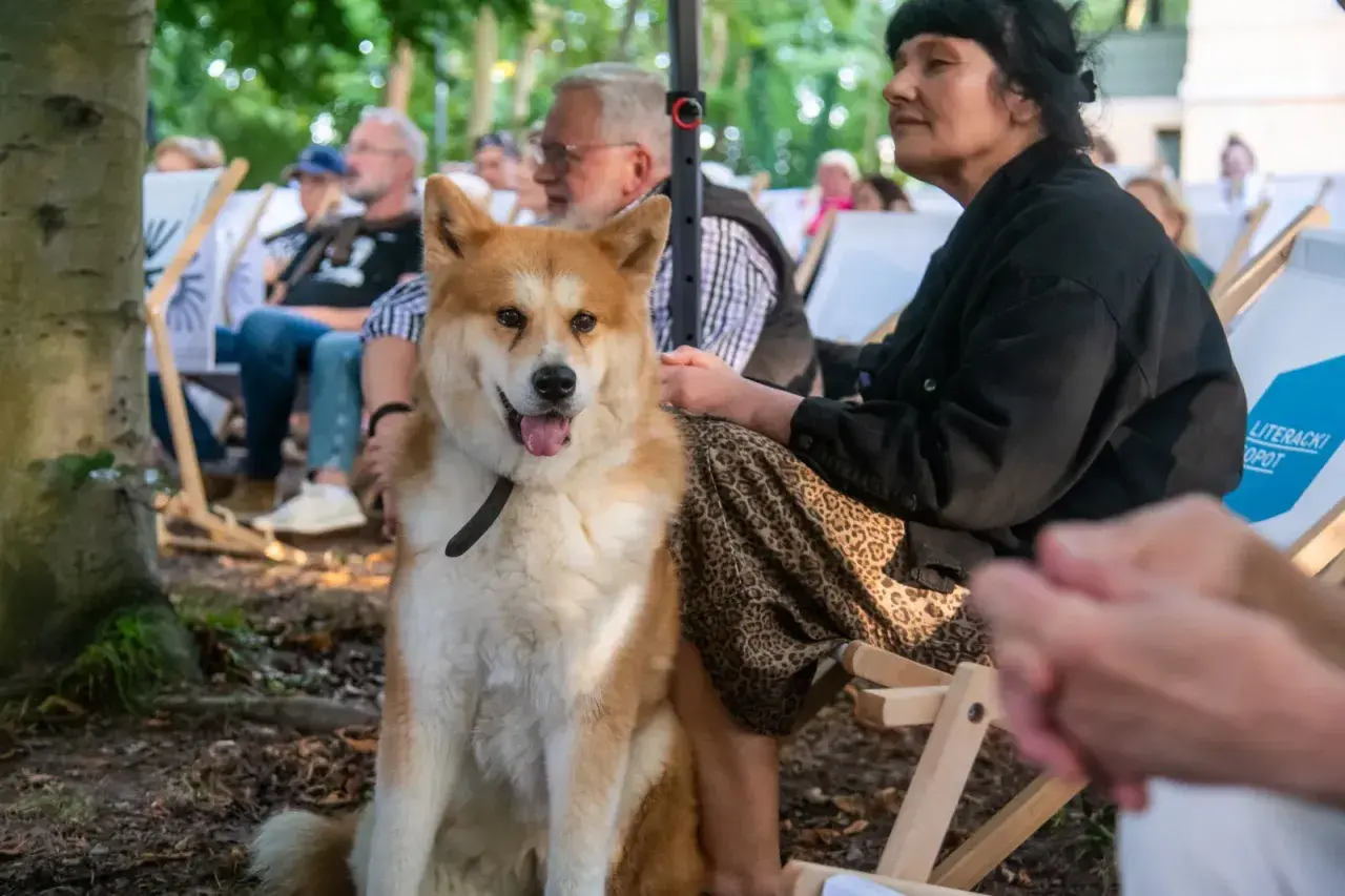 Pies rasy Akita siedzi na zewnątrz, obok kobiety. Czy pies może jeść drożdże? To pytanie nurtuje wielu właścicieli czworonogów.