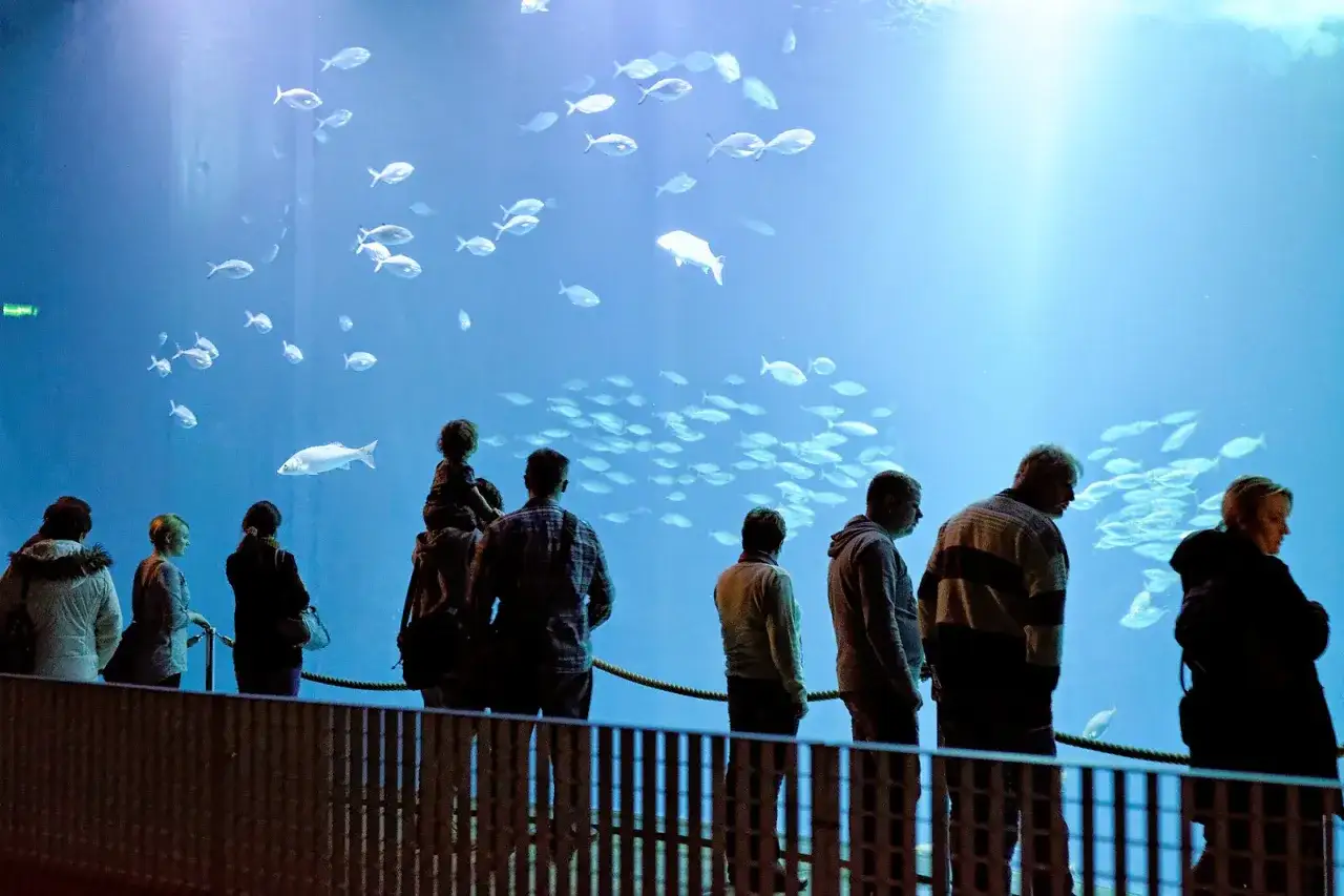 Zdjęcie Stralsund oceanarium – fascynujący świat morskich tajemnic i atrakcji