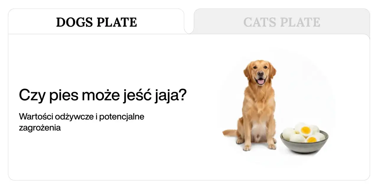 Złoty retriever siedzi obok miski z jajkami na twardo, a tekst pyta