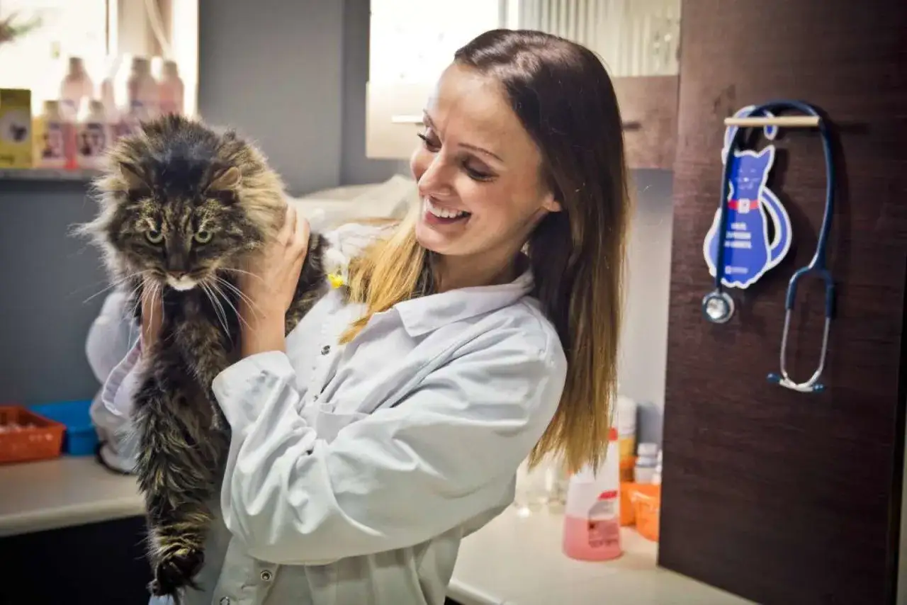 Uśmiechnięta lekarka weterynarii trzyma puszystego kota. Czy do weterynarza mówi się doktorze? Tak, to doktor od zwierząt.