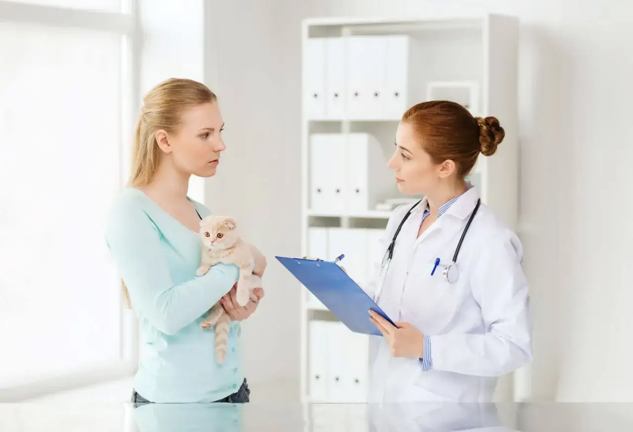 Kobieta z kotkiem rozmawia z weterynarzem. Czy do weterynarza mówi się doktorze? Tak, to doktor.
