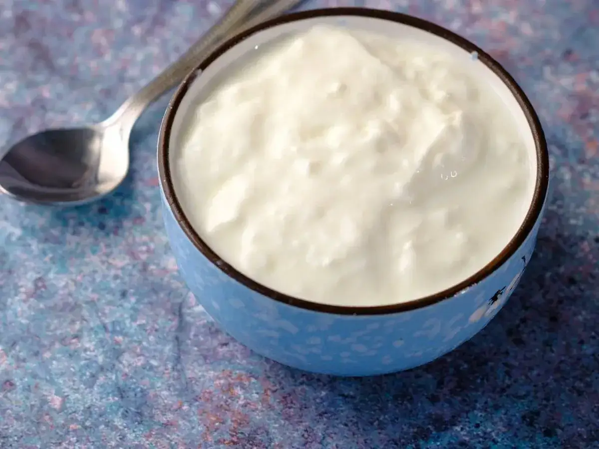 Miseczka jogurtu naturalnego, idealna dla każdego. Czy pies może skyr naturalny? Ten jogurt jest bezpieczny dla psów.