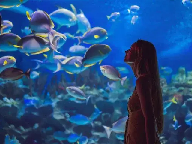 Zdjęcie Oceanarium Ustka – Fascynujące gatunki ryb i niezapomniane atrakcje