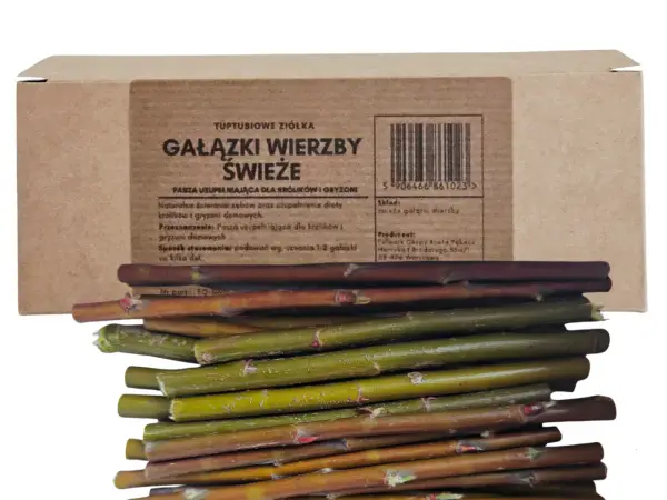 Gałązki wierzby świeże, idealne dla królików i gryzoni. Naturalne ścieranie zębów i uzupełnienie diety. Czy królik może jeść gałązki wierzby? Tak, to świetny przysmak!